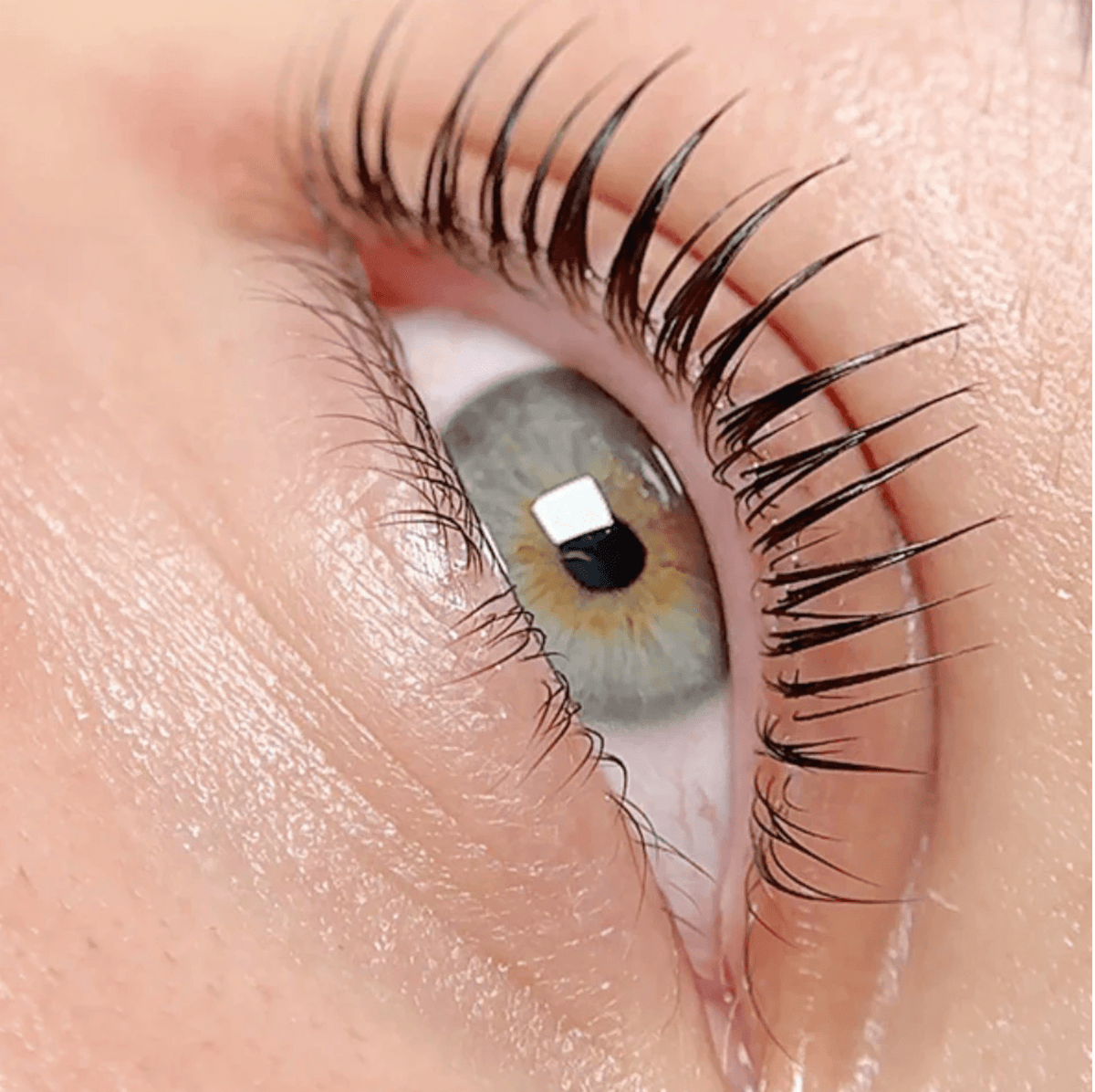Miko Korean Lash Lift System Starter Kit | LBLA | Korean Lash Lift | 15+ Services - House of Beauty USA