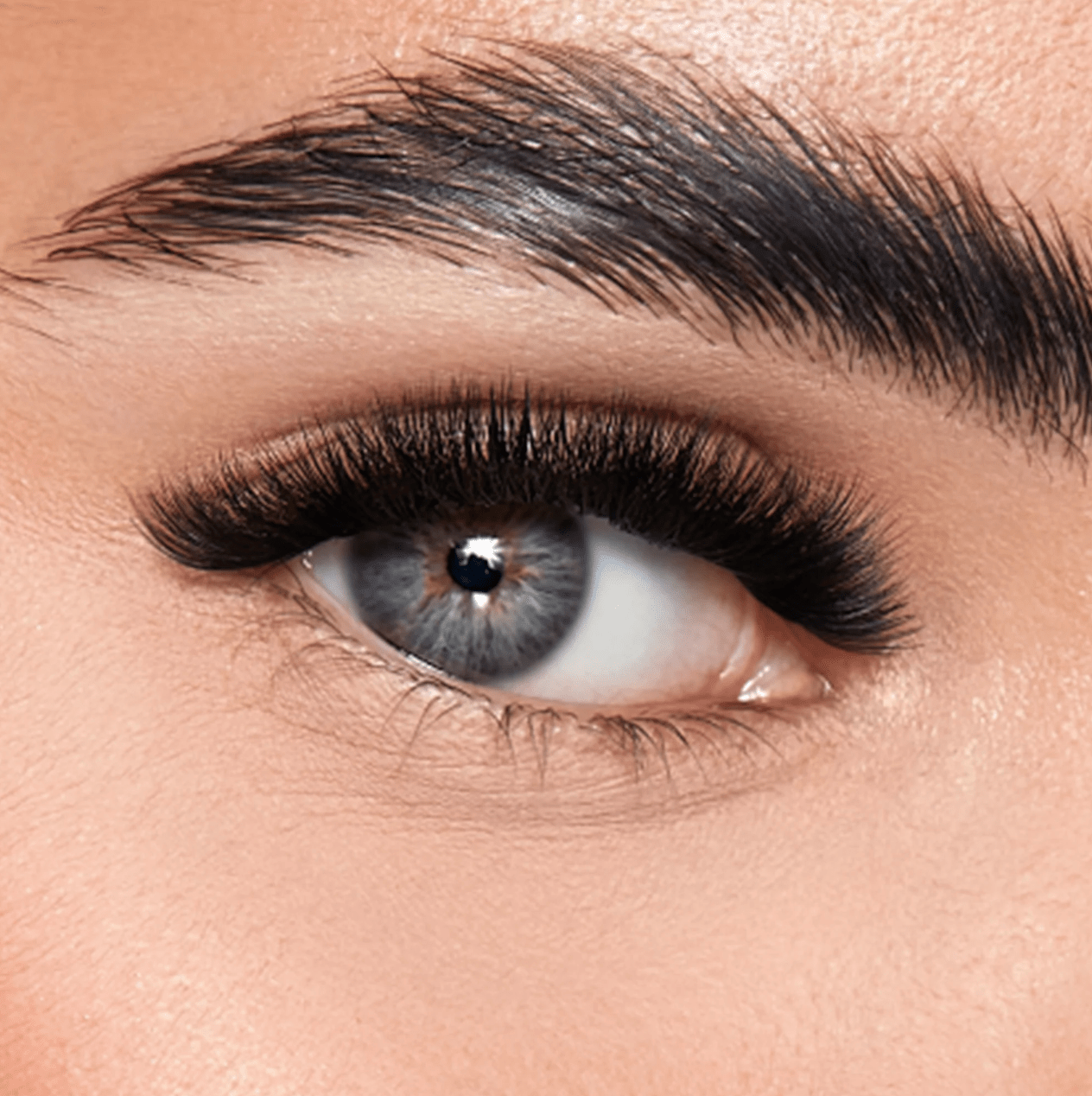 Clear acrylic lid view of the 18-line Favorite Cashmere Faux Mink lash extension tray showing organized rows.