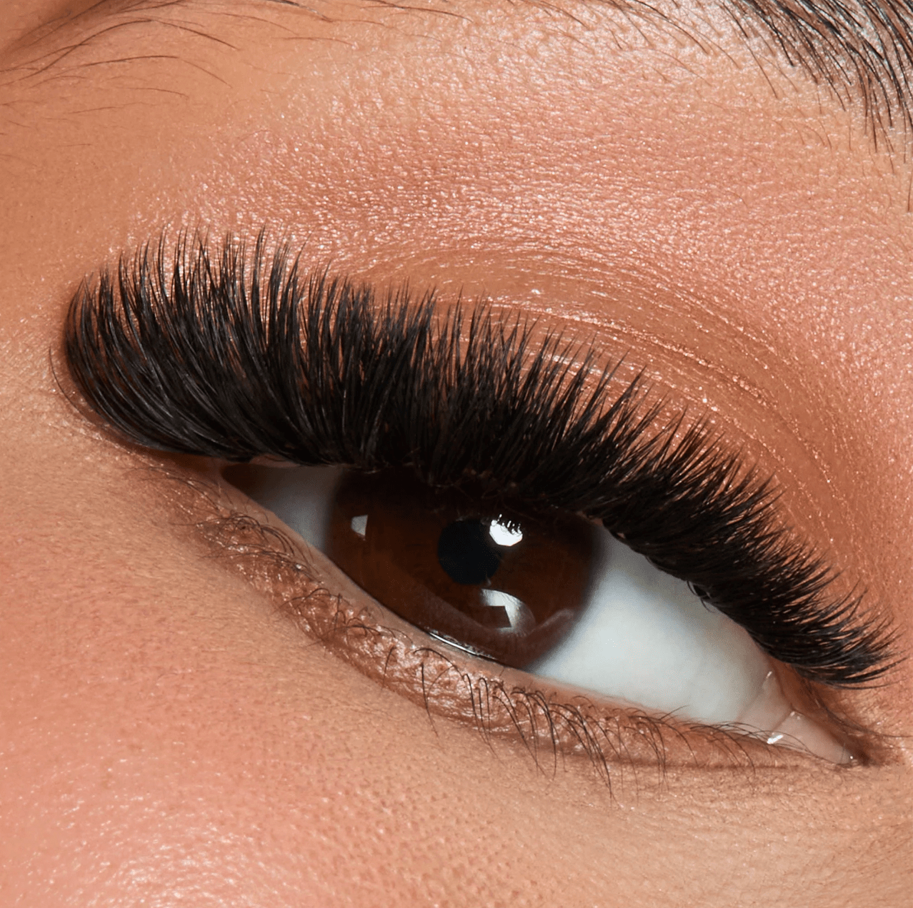 Clear acrylic lid view of the Flower Power True Matte lash tray showing organized black lash strips.