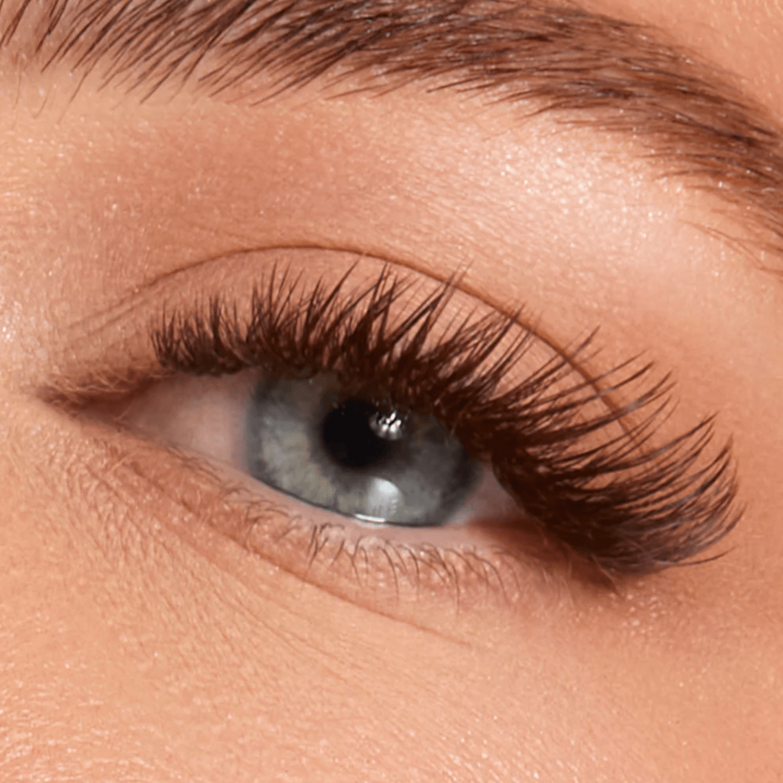 Front packaging view of the Flower Power True Matte Maple Brown 0.03mm lash extension acrylic tray.