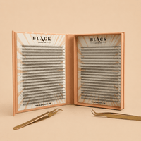Black Lashes - Pre Made Volume Lashes - House of Beauty Global
